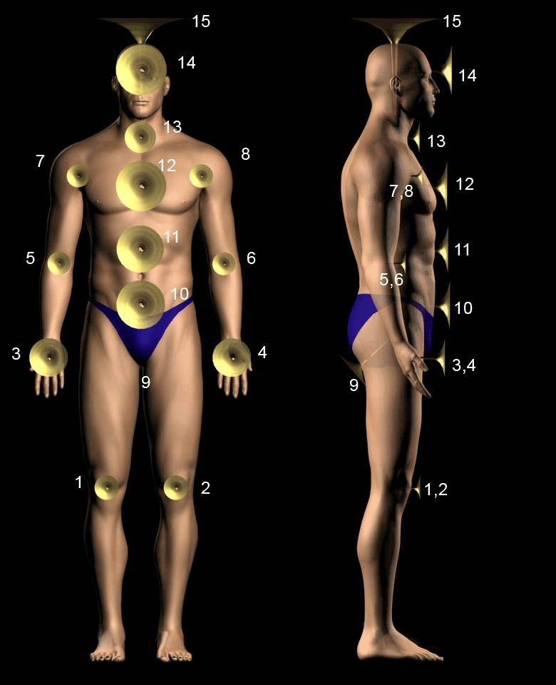 Die 15 �therischen Chakren des Menschen