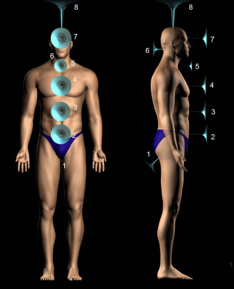 Die 8 mentalen Chakren des Menschen